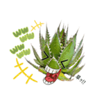 AGAVE LOVERのためのアガベスタンプ第2弾（個別スタンプ：15）