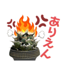 AGAVE LOVERのためのアガベスタンプ第2弾（個別スタンプ：20）