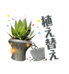 AGAVE LOVERのためのアガベスタンプ第2弾（個別スタンプ：29）