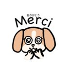 マオちゃんちのクウちゃん(仏語ver.)（個別スタンプ：4）