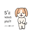 マオちゃんちのクウちゃん(仏語ver.)（個別スタンプ：5）