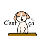 マオちゃんちのクウちゃん(仏語ver.)（個別スタンプ：7）