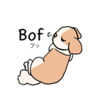 マオちゃんちのクウちゃん(仏語ver.)（個別スタンプ：10）