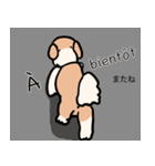 マオちゃんちのクウちゃん(仏語ver.)（個別スタンプ：13）