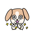 マオちゃんちのクウちゃん(仏語ver.)（個別スタンプ：16）