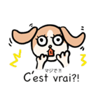マオちゃんちのクウちゃん(仏語ver.)（個別スタンプ：18）