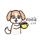 マオちゃんちのクウちゃん(仏語ver.)（個別スタンプ：22）