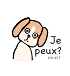 マオちゃんちのクウちゃん(仏語ver.)（個別スタンプ：23）