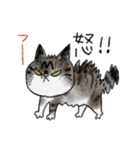 ダレノ家の猫/日常スタンプ（個別スタンプ：17）