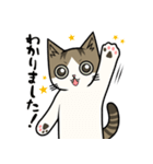 大人の敬語❤猫のむーたんスタンプ（個別スタンプ：7）