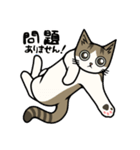 大人の敬語❤猫のむーたんスタンプ（個別スタンプ：9）