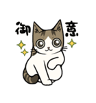 大人の敬語❤猫のむーたんスタンプ（個別スタンプ：11）