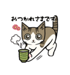 大人の敬語❤猫のむーたんスタンプ（個別スタンプ：17）