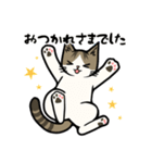 大人の敬語❤猫のむーたんスタンプ（個別スタンプ：18）