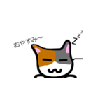 ふかみのねこスタンプ（個別スタンプ：2）