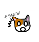 ふかみのねこスタンプ（個別スタンプ：5）