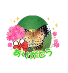 生き物スタンプ！（個別スタンプ：5）