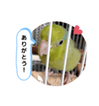 しぃたん1（個別スタンプ：5）