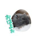 はむずだよ4（個別スタンプ：2）