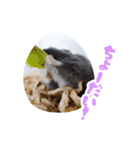 はむずだよ4（個別スタンプ：7）