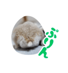 はむずだよ4（個別スタンプ：8）