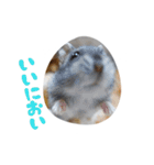 はむずだよ4（個別スタンプ：9）