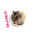 はむずだよ4（個別スタンプ：12）