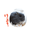 はむずだよ4（個別スタンプ：14）