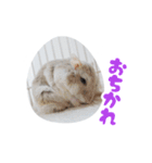 はむずだよ4（個別スタンプ：15）