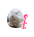 はむずだよ4（個別スタンプ：18）