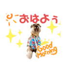 新カールくん！（個別スタンプ：1）