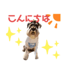 新カールくん！（個別スタンプ：2）