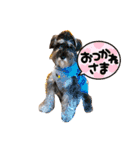 新カールくん！（個別スタンプ：14）