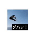SAWARAスタンプ（個別スタンプ：20）