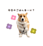 sora君の1日（個別スタンプ：10）