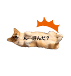 sora君の1日（個別スタンプ：18）
