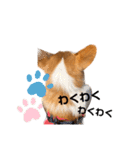 sora君の1日（個別スタンプ：20）
