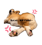 sora君の1日（個別スタンプ：21）