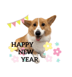 sora君の1日（個別スタンプ：24）