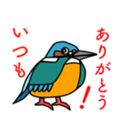 かわせみのキキ君（個別スタンプ：6）