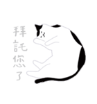 around 猫（個別スタンプ：3）