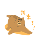 around 猫（個別スタンプ：4）