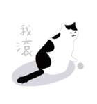 around 猫（個別スタンプ：8）