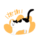 around 猫（個別スタンプ：10）