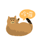 around 猫（個別スタンプ：11）