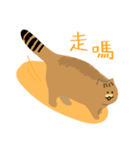 around 猫（個別スタンプ：13）