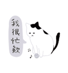 around 猫（個別スタンプ：14）