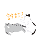 around 猫（個別スタンプ：15）