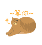 around 猫（個別スタンプ：16）