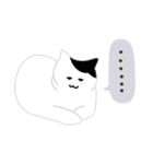 around 猫（個別スタンプ：19）